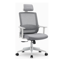 Rado Ergonomic Mesh Office Chair